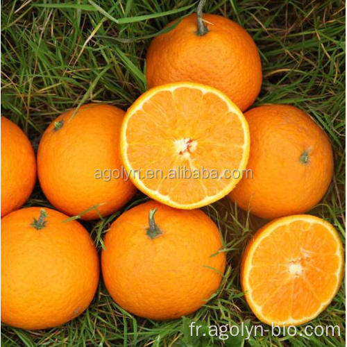 Oranges de mandrin doux juteux frais